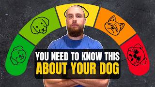 3 Levels of DOG REACTIVITY Explained by Pro Trainer