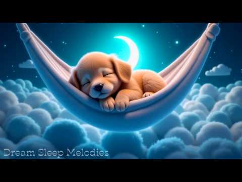 Sleep Instantly Tonight 😴 Deep Sleep Therapy • Brain Massage for Anxiety Relief, Insomnia