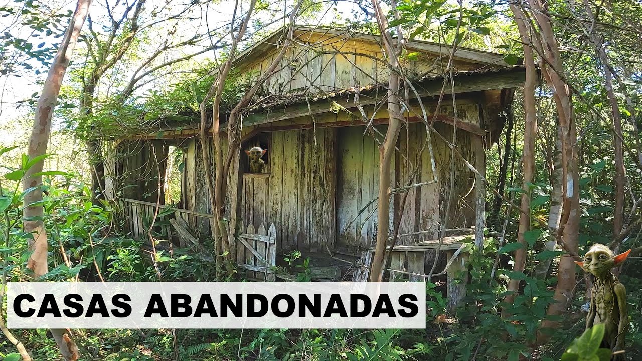Entrei em dez casas abandonadas na floresta / Veja o que tinha dentro de cada uma !