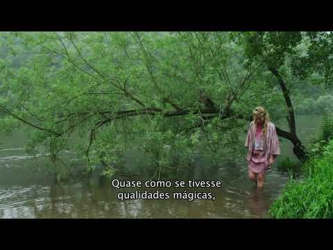 Monet - Magia de Luz e Água