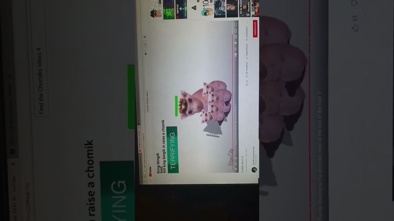 Find the Chomik Ideas 7