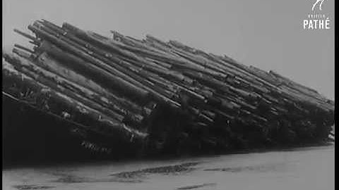 1959 Newreel footage of logs being barged From the Queen Charlottes to the south coast