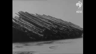 1959 Newreel footage of logs being barged From the Queen Charlottes to the south coast