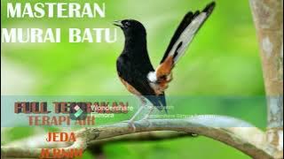 masteran full tembakan kasar besetan  11 JAM NONSTOP