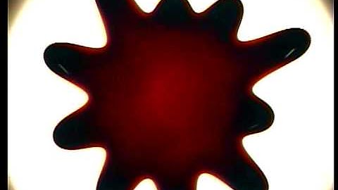 Ferrofluid Drop Pattern Selection -- Perpendicular & Radial Field (10 Fingers)