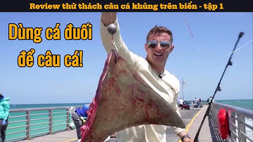 Chàng trai dùng cá đuối khủng để câu cá | Review thử thách câu cá khủng trên biển - tập 1