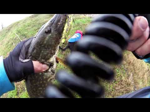 მე ჯესი და შუკა