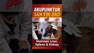 Full This point, San Yin Jiao is for the Liver, Spleen, and Kidneys health #tcm News