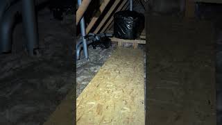 Attic Insulation Installation In Dublin By Insulate Your Attic