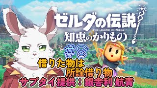 知恵より武闘派『ゼルダの伝説 知恵のかりもの』 #8