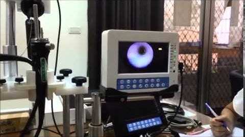 OD0.8mm Flexible Fiber Scope Applied to Endoscope Working Channel