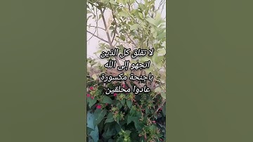 لا تقلق كل الذين اتجهوا الى الله باجنحة مكسورة عادوا محلقين
