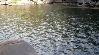 Download lagu SDC15419 AVI SDC15419 AVI