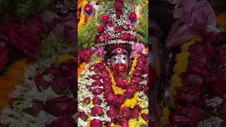 Maa Tara Status Video Tarapith
