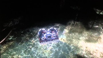 Singularity part one: zombie mutants?