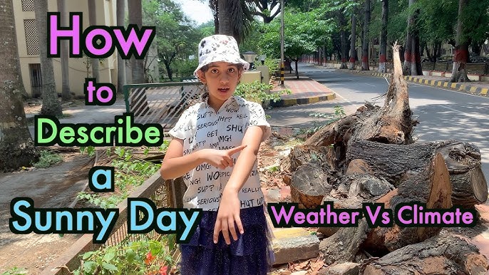 5 Ways To Describe A Sunny Day Phrases For Hot 2024