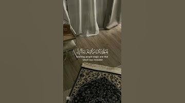 #تلاوة_خاشعة #اكسبلور #istagfar #قرآن #دويتو #yasseraldossary #حالات_واتس #quran #راحة_نفسية #لايك