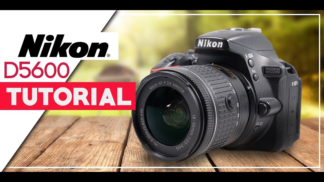 Nikon D5600 User Guide - How To Get The Best Videos & Photos 