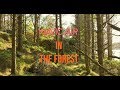 Flying in the Forest 4K // Mavic Air  (with Crash)// Drone Video