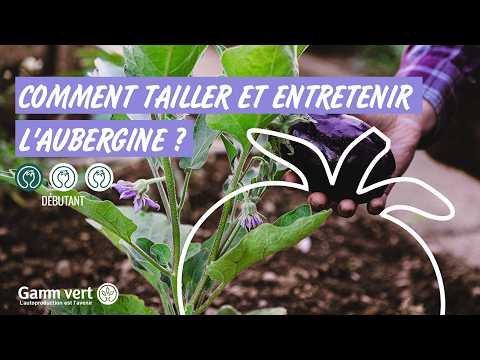 Tuto - Comment tailler et entretenir les aubergines ?