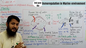 Osmoregulation in different environments | osmoregulation in marine environment | Class 12