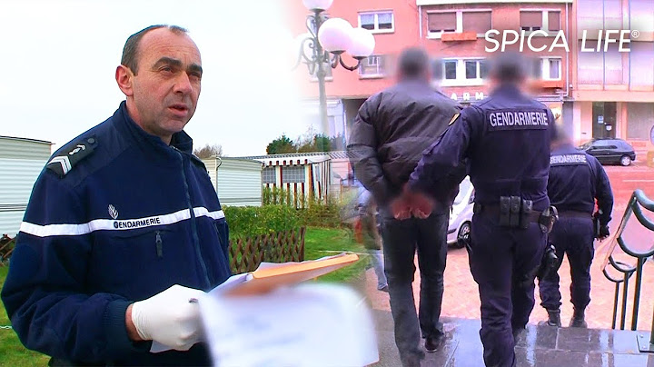 Nord sous tension… les nouvelles délinquances