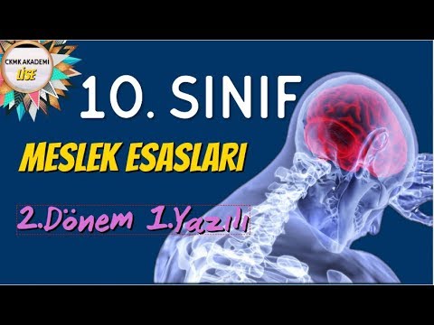 Video: Verbal şkalanın hansı növü deyilir?