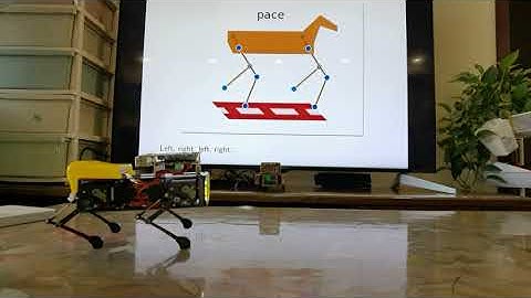 Mini Pupper, Gait Pace