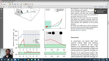 Creating Visual Stimuli in Python 2.2: Making a window appear using Psychopy