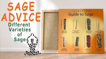 SAGE ADVICE: Smudging Guide to different kind of sage. 🌿