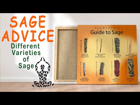 ვიდეო: Sage: ტიპები და აღწერა