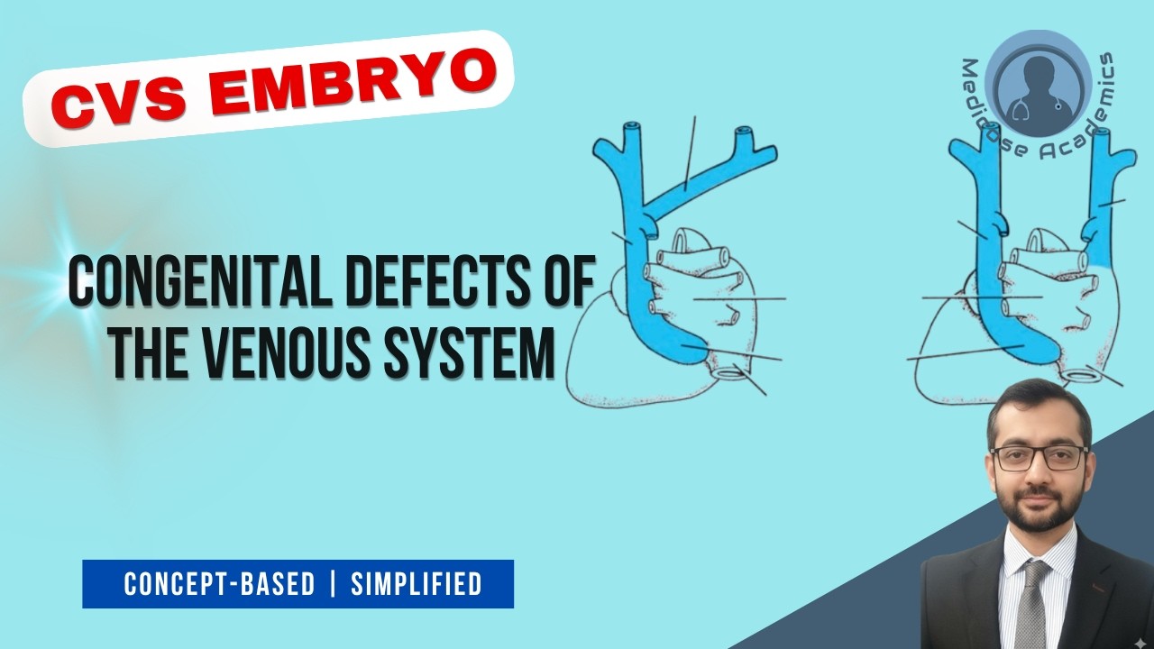 Congenital Defects of the Venous System