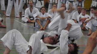 Andre Bertel Sensei 7. Dan in Germany @ IKS GASSHUKU 14./15. September 2019  Halle/Westf.