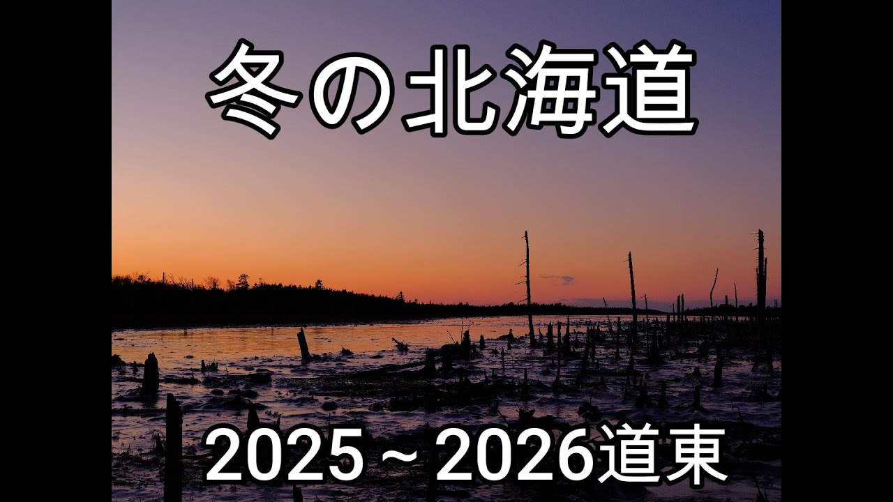 冬の北海道（道東）2025～2026