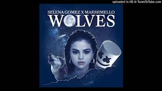 Selena Gomez & Marshmello-Wolvesinstrumentalwlyrics In Description