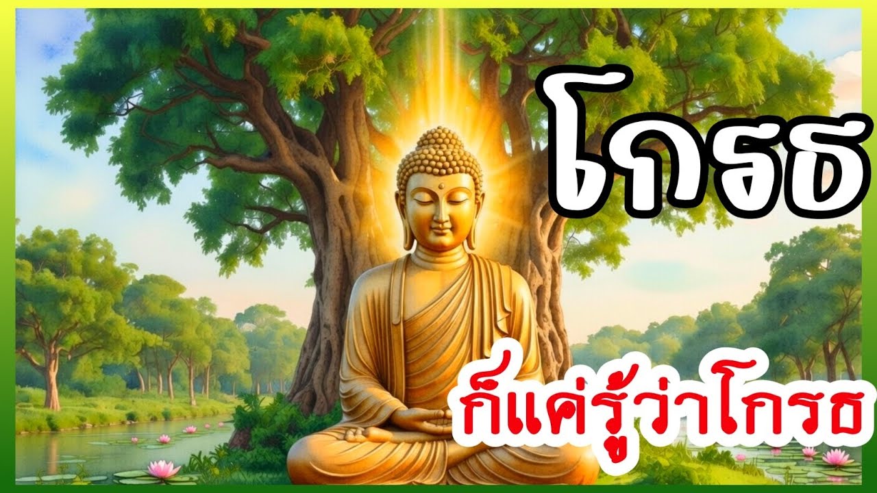 เมื่อเราไม่หนีความทุกข์เราจะพบว่า…มันพาเราไปสู่ความสงบที่ลึกกว่าเดิม 🌅