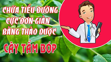 Cách chữa bệnh tiểu đường cực đơn giản bằng cây Tầm Bóp