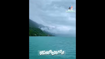 ثواني قرآن كريم بصوت الشيخ ماهر المعيقلي سورة النبأ|إن للمتقين مفازا حدائق وأعنابا|حالات واتس قرآن
