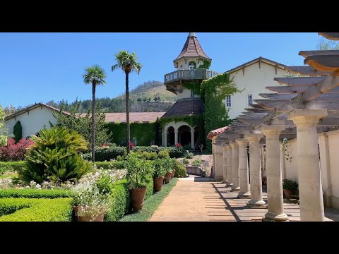 Chateau St Jean Winery - California