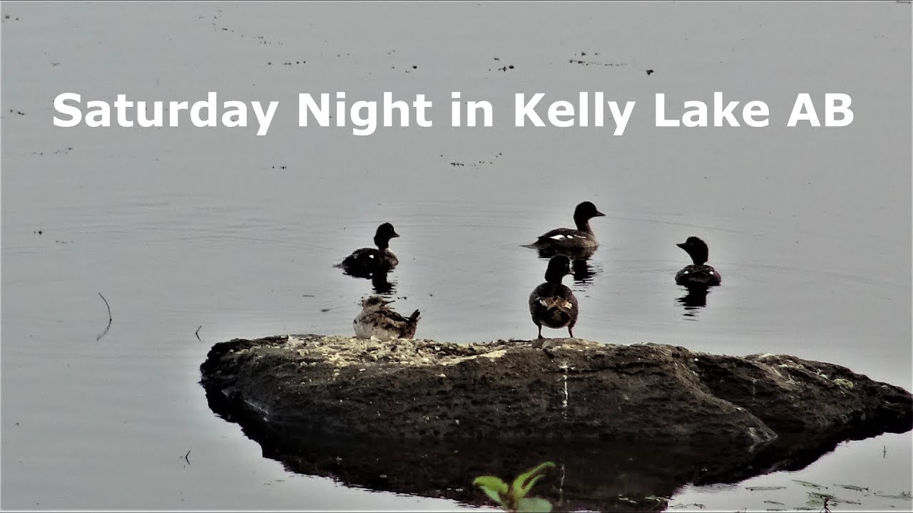 Dancing on a Saturday Night in Kelly Lake on the AB-BC .  August 13, 2017