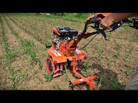 Video: Cultivatoare Manuale (49 Fotografii): Alegeți Un Mini-cultivator Pe Benzină Pentru O Reședință De Vară, Precum și O Grădină „Strizh” și Una Electrică Pentru Prelucrarea Solului