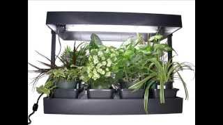 Future Harvest Development Sun Blaster Grow Light Garden