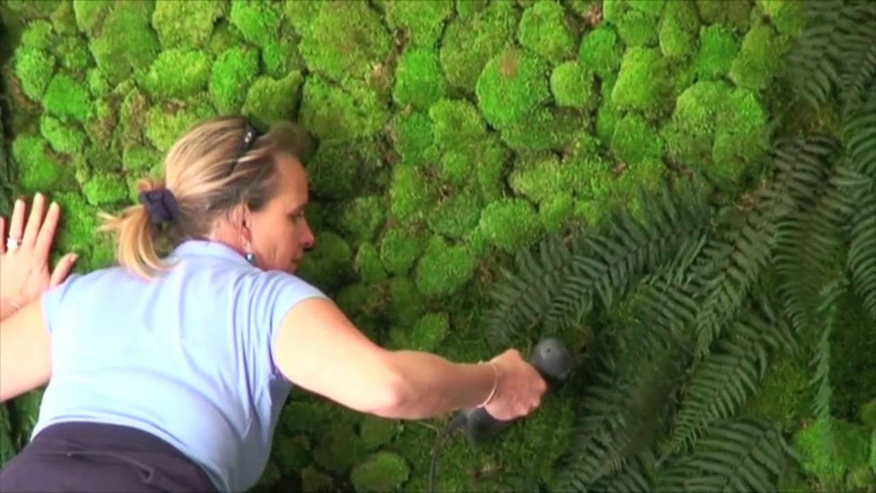 Tout ce qu'il faut savoir sur le mur végétal de l'hôtel de ville