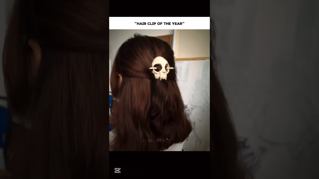 The hair clip you need in 2026🙂