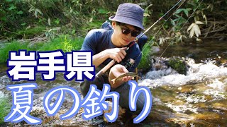 岩手県 渓流釣り ~夏の釣り 新規開拓~ 2020年6月20日 Fishing in Iwate, Japan