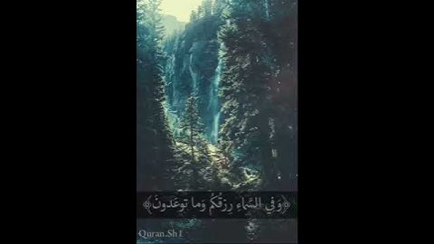 ﴿وَفي أَنفُسِكُم أَفَلا تُبصِرونَ﴾سورة الذاريات، بصوت القارئ: احمد العجمي 👌