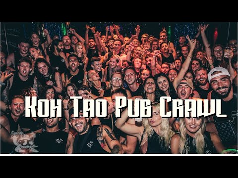 Video: Pup Crawl ökar Pengar Och Medvetenhet För Djurskydd