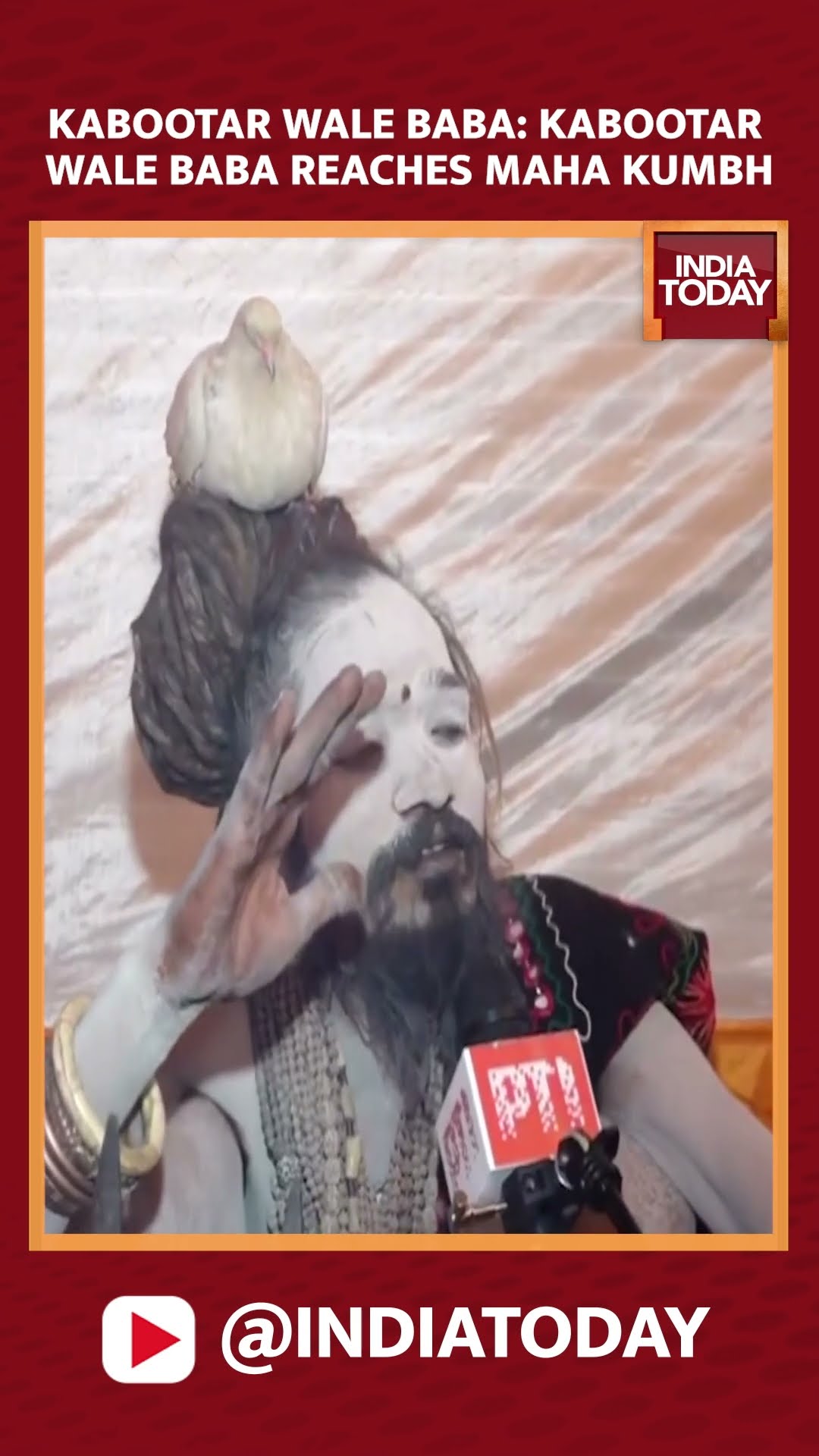 Meet Kabootar Wale Baba: Mahant Rajpuri Maharaj At Maha Kumbh Mela 2025 In Prayagraj | India Today