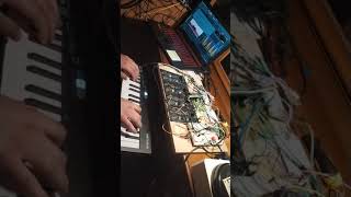DIY Polysynth first run