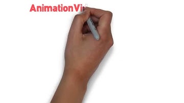 Animation Video to increase your sales and get more leads
